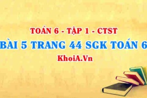 Bài 5 trang 44 SGK Toán 6 Tập 1 Chân trời sáng tạo